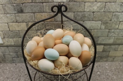 Don't Put All of Your Financial Eggs in One Development Basket