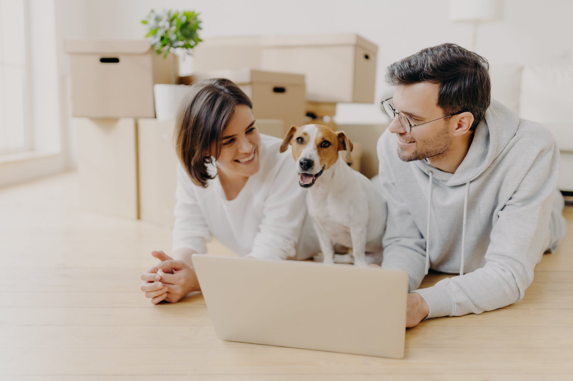 Pet Screening Banner